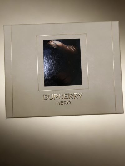 Copy cb2339f6 caf3 48f9 a7aa 0e4db04477fa